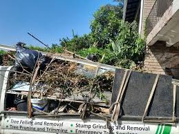 Best Hoarding Cleanup  in Los Lunas, NM