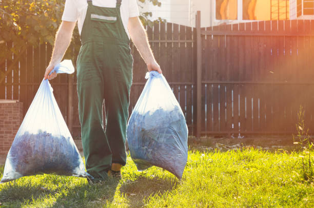 Best Basement Cleanout  in Los Lunas, NM